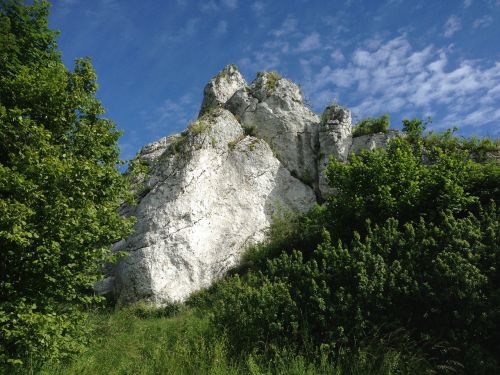 Akmenys, Kalkakmeniai, Kraštovaizdis, Gamta, Jura Krakowsko Częstochowa, Lenkija, Turizmas, Kelionė