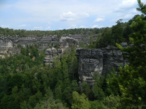 Akmenys, Gamta, Flora, Miškas, Kalnai, Natūralus, Vasara, Žalias, Medis, Kraštovaizdis, Lauke, Čekijos Respublika, Čekijos Šveicarija