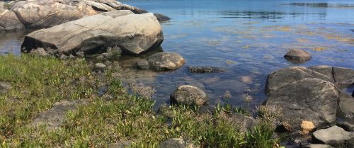 Akmenys, Papludimys, Maine, Vandenynas, Gamta