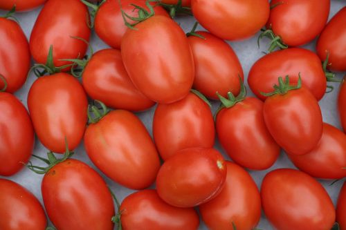 Romų Pomidorai, Pomidorai, Salotos, Frisch, Sveikas, Roma, Pomidorų Vaisiai, Daržovių Auginimas, Daržovės, Raudona, Maistas, Vitaminai