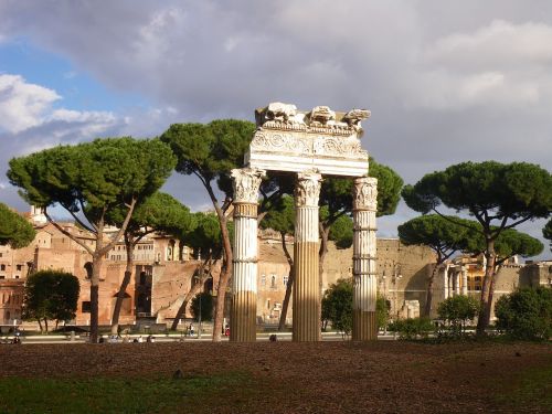 Roma, Forumas, Senovė, Pušis