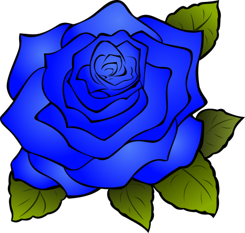 Rosa, Gėlė, Mėlynas, Mėlyna Roze, Gamta, Subtilus, Žiedlapiai, Nemokama Vektorinė Grafika
