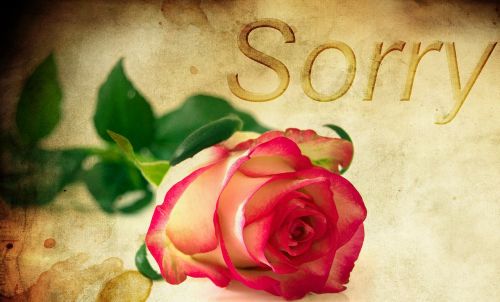 Rožė, Fonas, Atsiprašau, Raudona Roze, Atsiprašau, Atsiprasau, Meilė, Apgailestauju, Atleisti, Skyrybų, Fonas, Aš Atsiprašau, Atleidimas, Atleisk, Apdovanotas, Atgailos, Pastaba