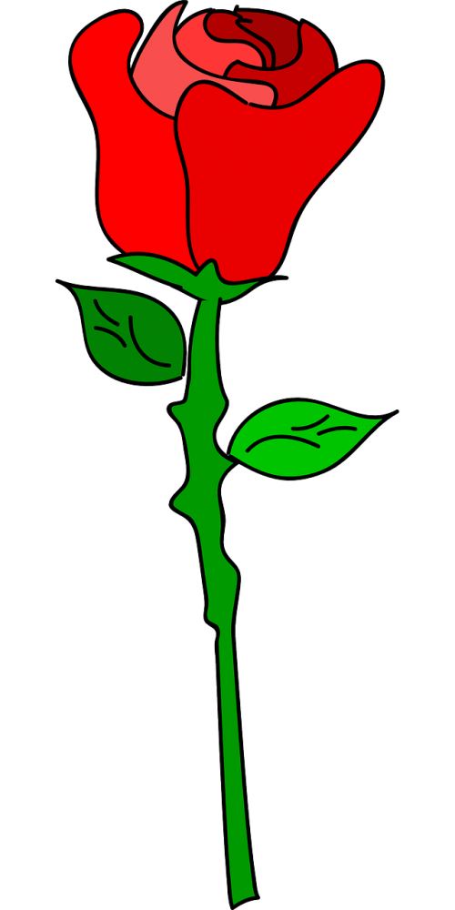 Rožė, Gėlė, Meilė, Romantika, Romantiškas, Žydi, Rosaceae, Aštrus, Nemokama Vektorinė Grafika