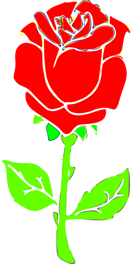 Rožė, Gėlė, Žiedas, Augalas, Nemokama Vektorinė Grafika