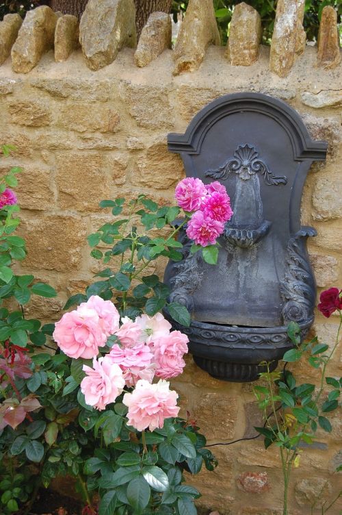 Rožė, Rožinės Gėlės, Fontanas, Siena