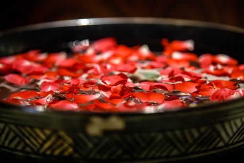 Rožė, Žiedlapis, Bronzos Indai