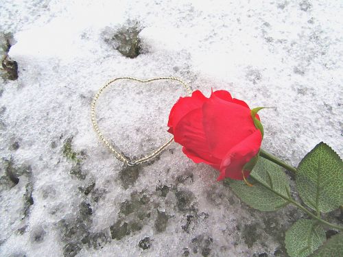 Rožė, Širdis, Sniegas, Romantika, Meilė, Apdaila, Romantiškas, Valentine, Širdies Formos, Įsimylėjes, Romantiška Meilė, Atmosfera