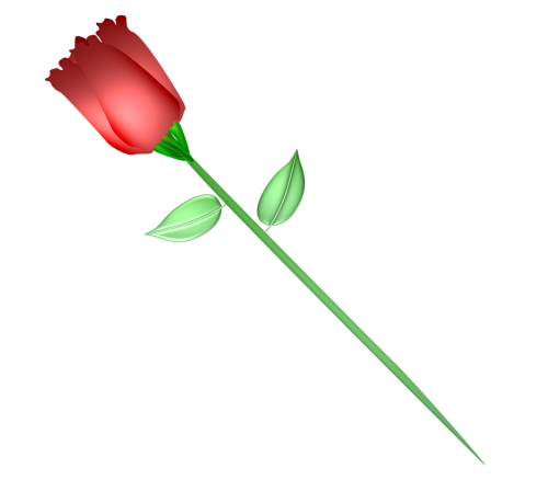 Rožė, Raudona, Gėlė, Raudona Roze, Romantika, Meilė, Romantiškas, Raudonos Rožės, Gėlių, Žalias, Spalva, Aistra, Apdaila, Augalas, Lapai, Vestuvės, Stiebas, Valentine