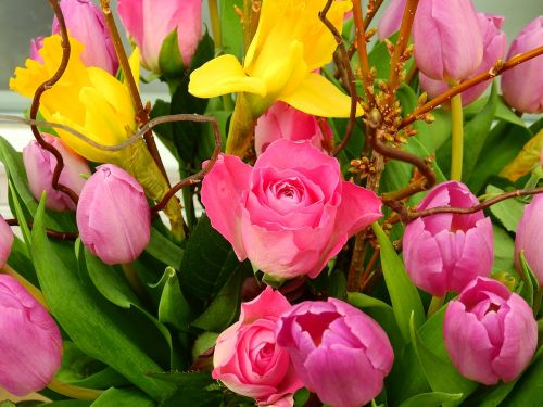 Rožė, Tulpės, Gvazdikėliai, Žiedas, Žydėti, Puokštė, Gimtadienis, Motinos Diena, Dovanos, Romantiškas, Gėlių Puokštė