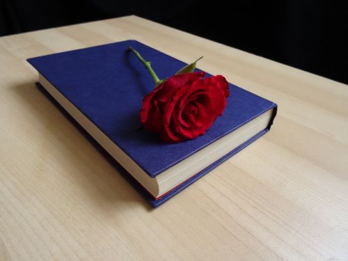 Rožė, Knyga, Romantikos Romanas, Vintage, Romantika, Valentine, Gėlė, Literatūra, Skaitymas, Meilė, Skaityti, Romanas, Ebook