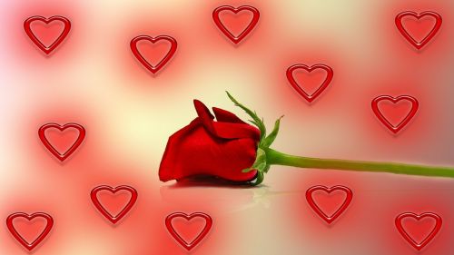 Rožė, Širdis, Meilė, Valentino Diena, Raudona, Romantika