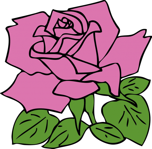Rožė, Rožinis, Gėlė, Gėlių, Romantiškas, Romantika, Nemokama Vektorinė Grafika