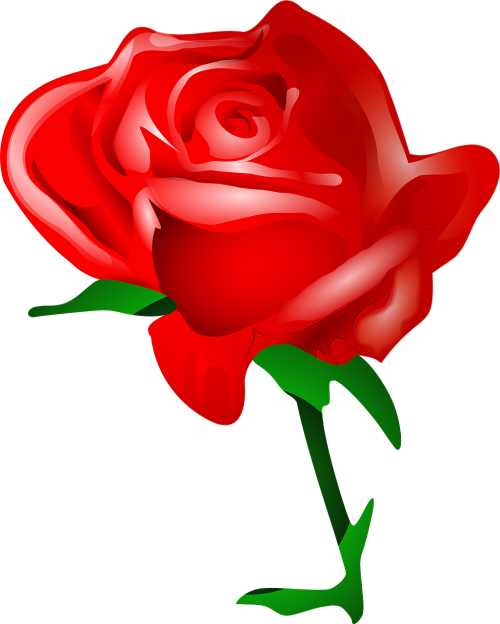 Rožė, Gėlė, Meilė, Romantiškas, Nemokama Vektorinė Grafika
