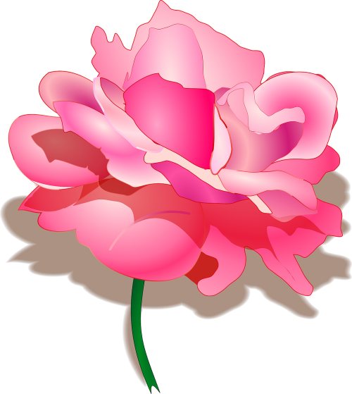 Rožė, Rosa, Gėlė, Rožinis, Gražus, Žiedas, Romantiškas, Nemokama Vektorinė Grafika
