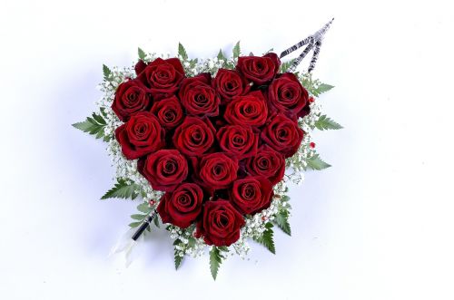 Rožė, Rosa, Širdis, Valentino Diena, Gėlė, Gėlės, Žalias, Gamta, Meilė, Grožis, Žiedlapiai, Raudona, Lapai, Lapai, Augalai, Flora