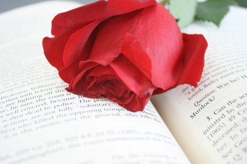 Rožė, Raudona, Gėlė, Knyga, Žodžiai