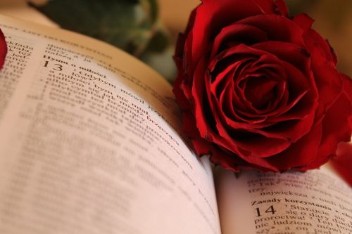 Rožė, Popierius, Raštai, Dievas