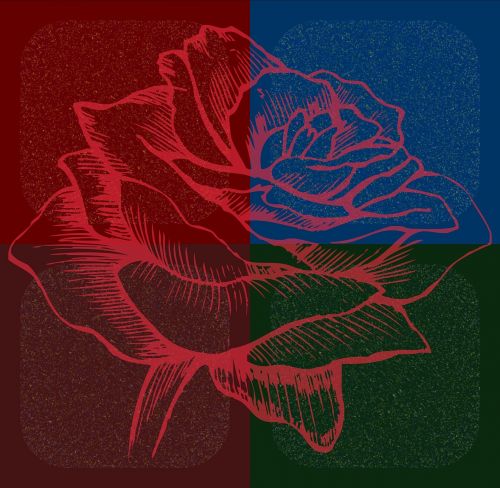 Rožė, Gėlė, Meilė