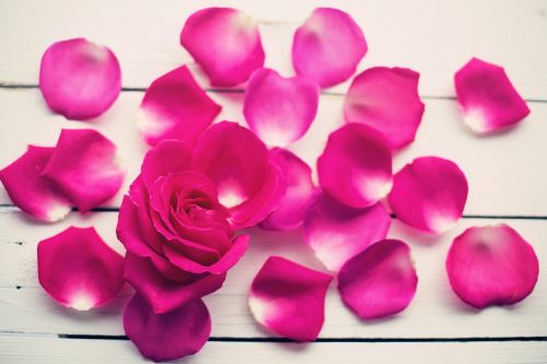 Rožių Žiedlapiai, Rožė, Gėlė, Žydėti, Žiedas, Romantiškas, Valentine, Rožinis, Žiedlapiai