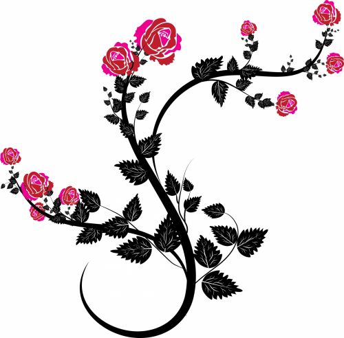 Rožė,  Vektorius,  Grožis,  Meilė,  Gėlė,  Klestėti,  Gėlių,  Rožių Vektoriniai Elementai 05