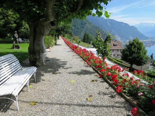 Rosenweg,  Vaizdas,  Ežero Geneva,  Šveicarija