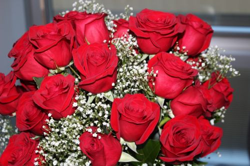 Rožės, Raudona, Valentine, Meilė, Romantika, Raudonos Rožės, Gėlė