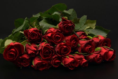 Rožės, Raudona, Raudonos Rožės, Raudona Rožė, Rožių Puokštė, Gėlės, Grožis, Meilė, Valentino Diena, Romantiškas, Romantika, Atsiprasau, Gėlių Puokštė, Puokštė, Ačiū, Vestuvės, Vestuvių Dieną