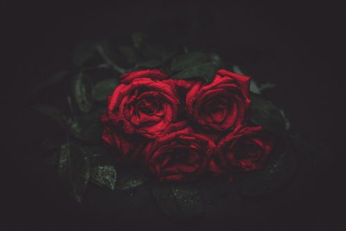 Rožės, Gėlės, Naktis, Romantika, Puokštė