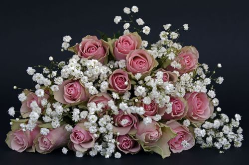 Rožės, Rožė, Gėlės, Rožinis, Balta, Gypsophila, Gėlė, Gamta, Gėlių Puokštė, Puokštė, Ačiū, Meilė, Vestuvės, Vestuvių Dieną