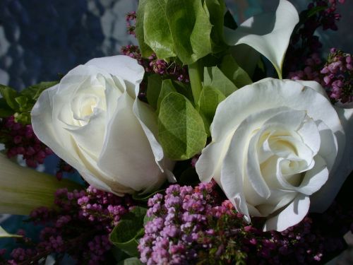 Rožės, Vazos, Baltos Rožės, Balta, Apdaila, Puokštė, Gėlių, Gėlė, Vestuvės