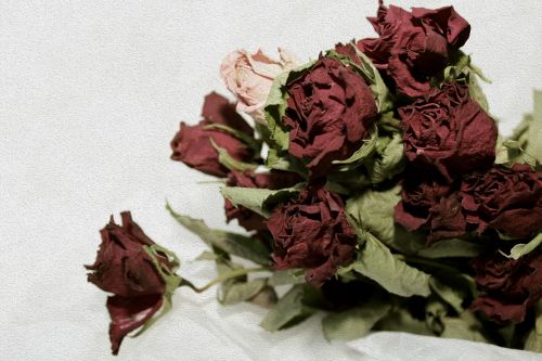 Rožės, Romantiškas, Vintage, Rožių Puokštė, Romantika, Fonas