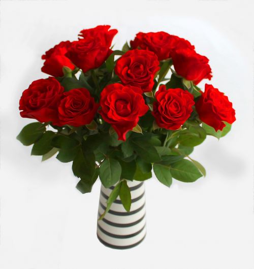 Rožės, Raudona, Gėlės, Meilė, Gėlė, Puokštė, Valentine, Romantika, Fonas, Raudona Roze, Gražus