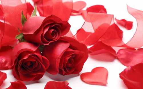 Rožės, Širdis, Meilė, Simbolis, Romantika, Valentine, Raudona, Šventė, Diena, Gėlių, Žiedlapiai, Žiedai, Romantiškas