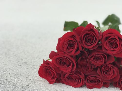 Rožės, Smėlis, Balta, Raudona, Tekstūra, Gėlė, Romantika