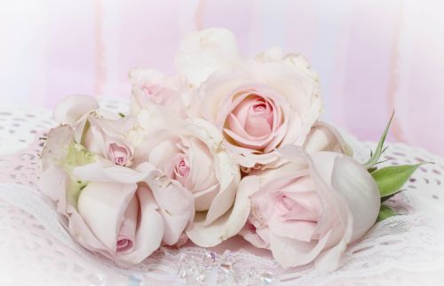 Rožės, Romantiškas, Fonas, Rožinis, Žvilgantis Rožinis, Vintage, Gudrus, Elegantiškas, Vestuvės, Kvietimas, Romantika, Nostalgija, Nostalgiškas