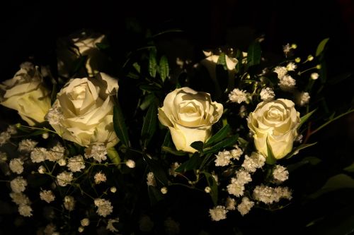 Rožės, Balta, Gėlės, Puokštė, Rožių Puokštė, Baltos Rožės