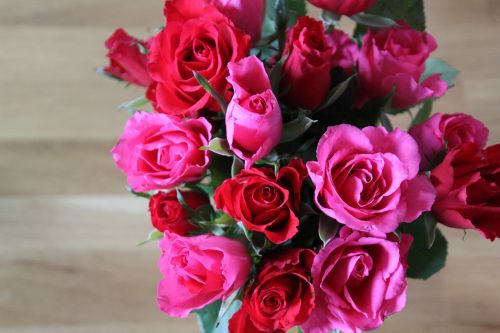 Rožės, Raudona, Rožinės Rožės, Strausas, Gėlė, Romantiškas