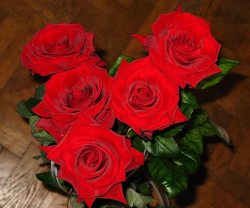 Rožės, Puokštė, Gėlė, Romantiškas, Apdaila, Vintage, Raudona, Foto