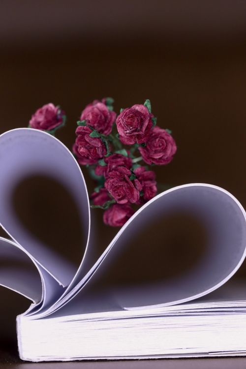 Rožės, Miniatiūrinė, Knyga, Širdis, Meilė