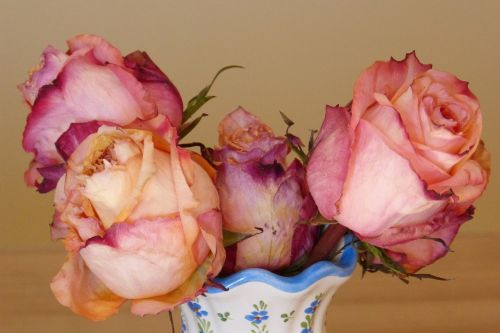 Rožės, Vazos, Gėlių Vaza, Žydintys, Nudrus