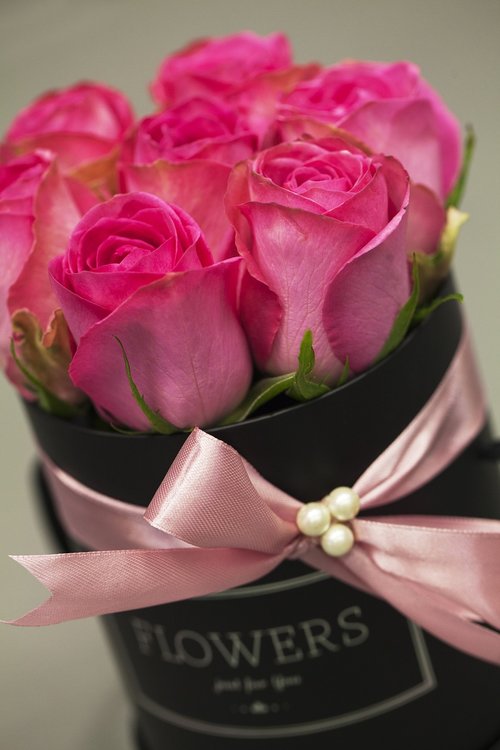 Rožės,  Rožinis,  Gėlės,  Romantiškas,  Puokštė,  Gimtadienis,  Ačiū,  Dekoratyvinis,  Valentino Diena