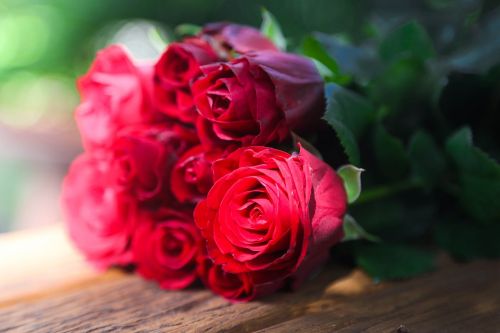 Rožės, Raudona, Krūva, Jubiliejus, Žydėti, Romantika, Valentine