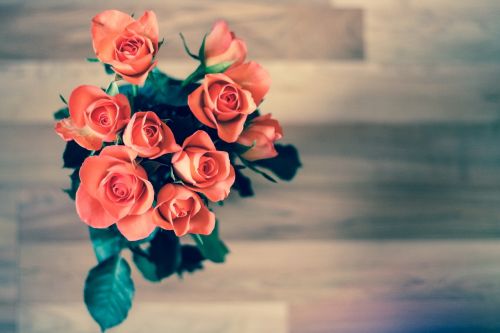 Rožės, Gėlės, Puokštė, Meilė, Gamta, Rožinis, Romantiškas, Žydėti, Žiedlapiai, Valentines, Jubiliejus, Romantika, Botanika, Valentine, Gėlių