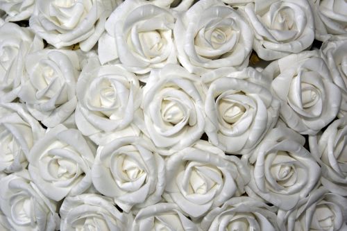 Rožės, Balta, Stalo Dekoravimas, Gėlių Susitarimas, Gėlės