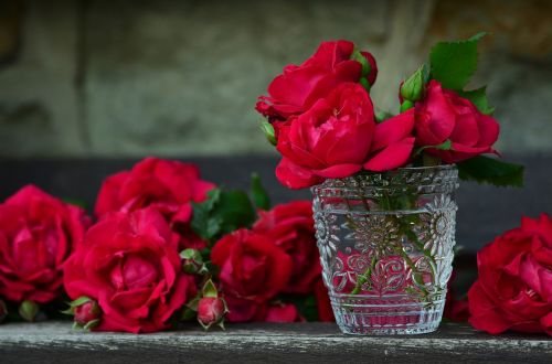 Rožės,  Raudonos Rožės,  Rožių Puokštė,  Stiklas,  Išaugo Žydėti,  Raudona,  Gėlės,  Rožinė Svajonė,  Atvirukas,  Ačiū,  Grožis,  Meilė,  Kvepalai,  Sodas,  Romantiškas
