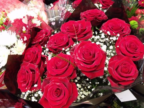 Valentino Diena & Nbsp,  Rožės,  Prekybos Centras,  Rožių Valentino Diena