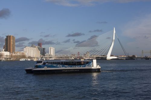Rotterdam, Tinklelis, Erasmo Tiltas, Vanduo, Nauja Akis, Upė, Tiltas, Laivai, Laivyba