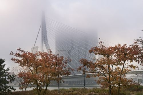 Rotterdam, Rūkas, Erasmo Tiltas, Tiltas