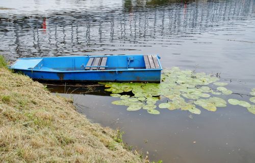 Kateris,  Mėlynas,  Valtis,  Bentos,  Upė